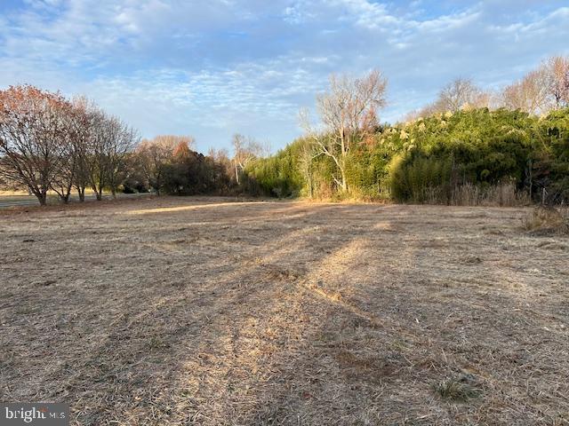 a view of empty field with trees