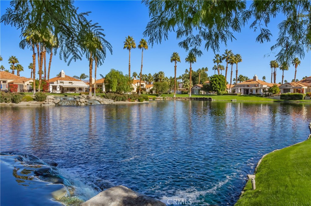 a view of a lake with palm trees