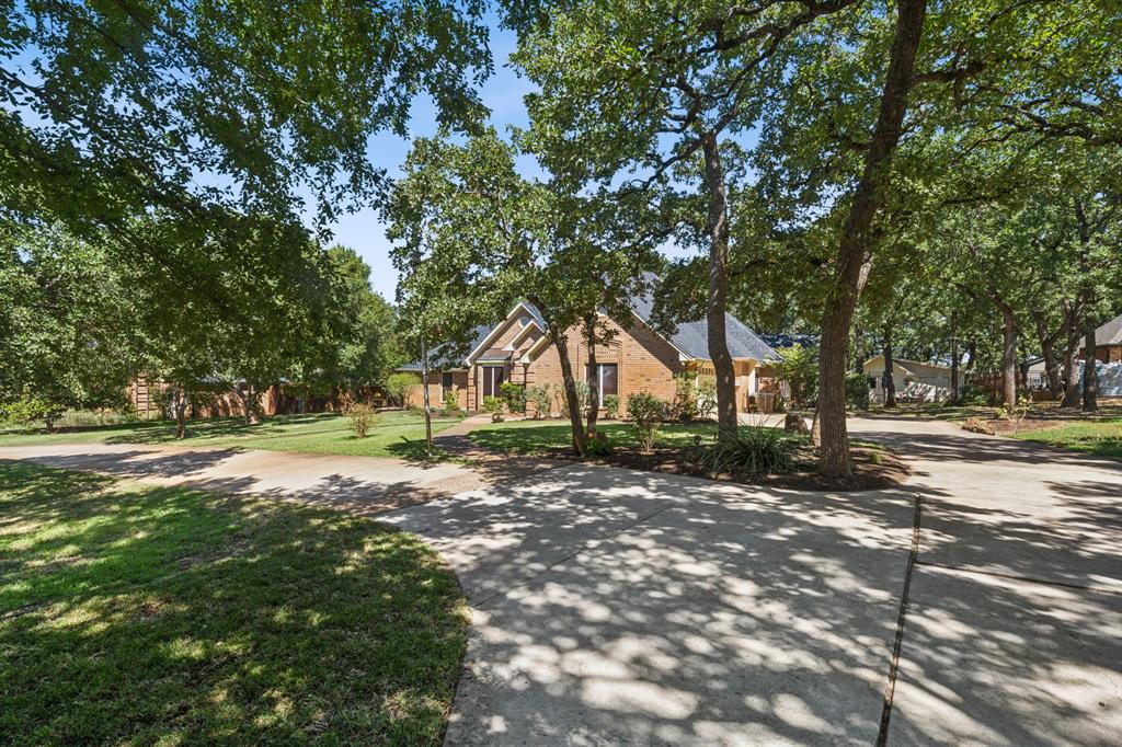 a view of a tree in the middle of a yard