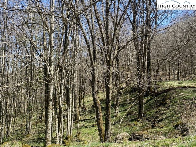 $65,000 | 2 Trillium Creek Run | Cranberry Township - Avery County