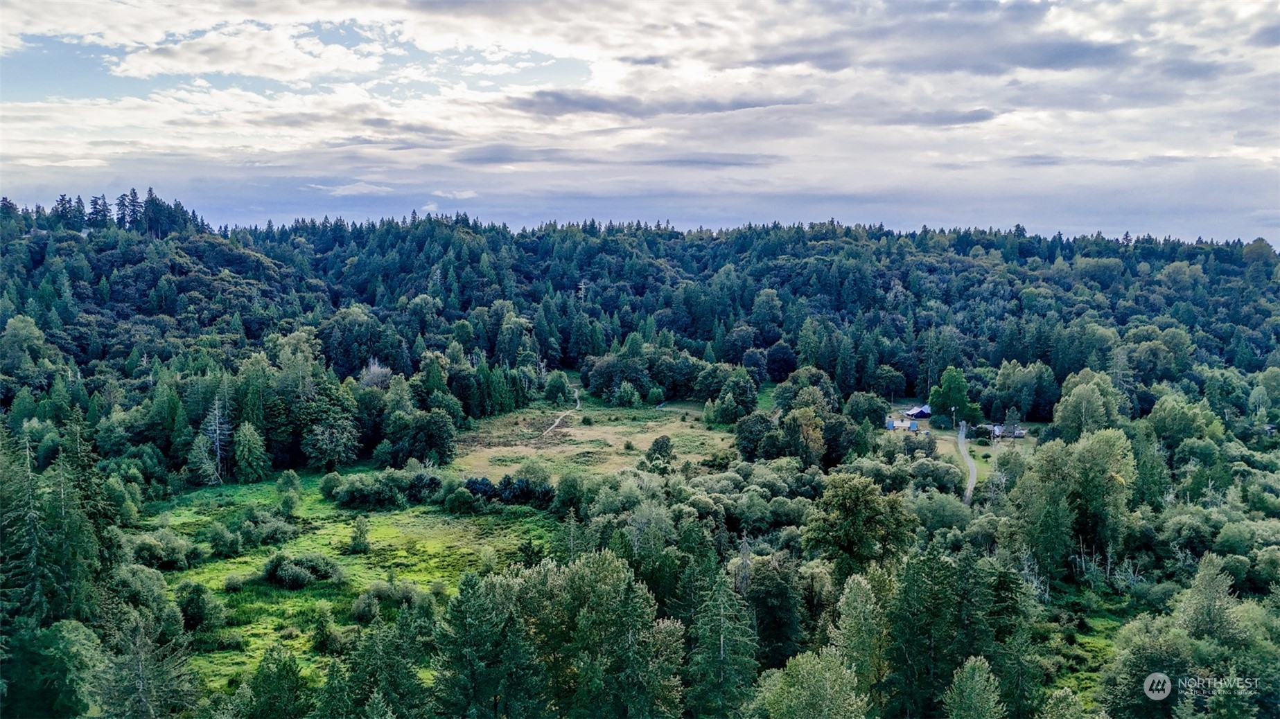 an aerial view of houses covered in trees