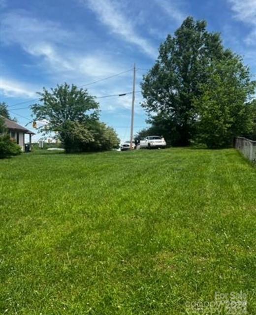 a view of a big yard with plants and large trees