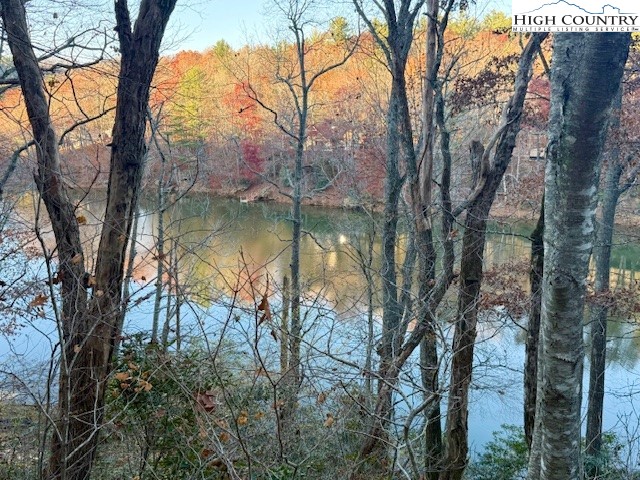 a view of lake with green space