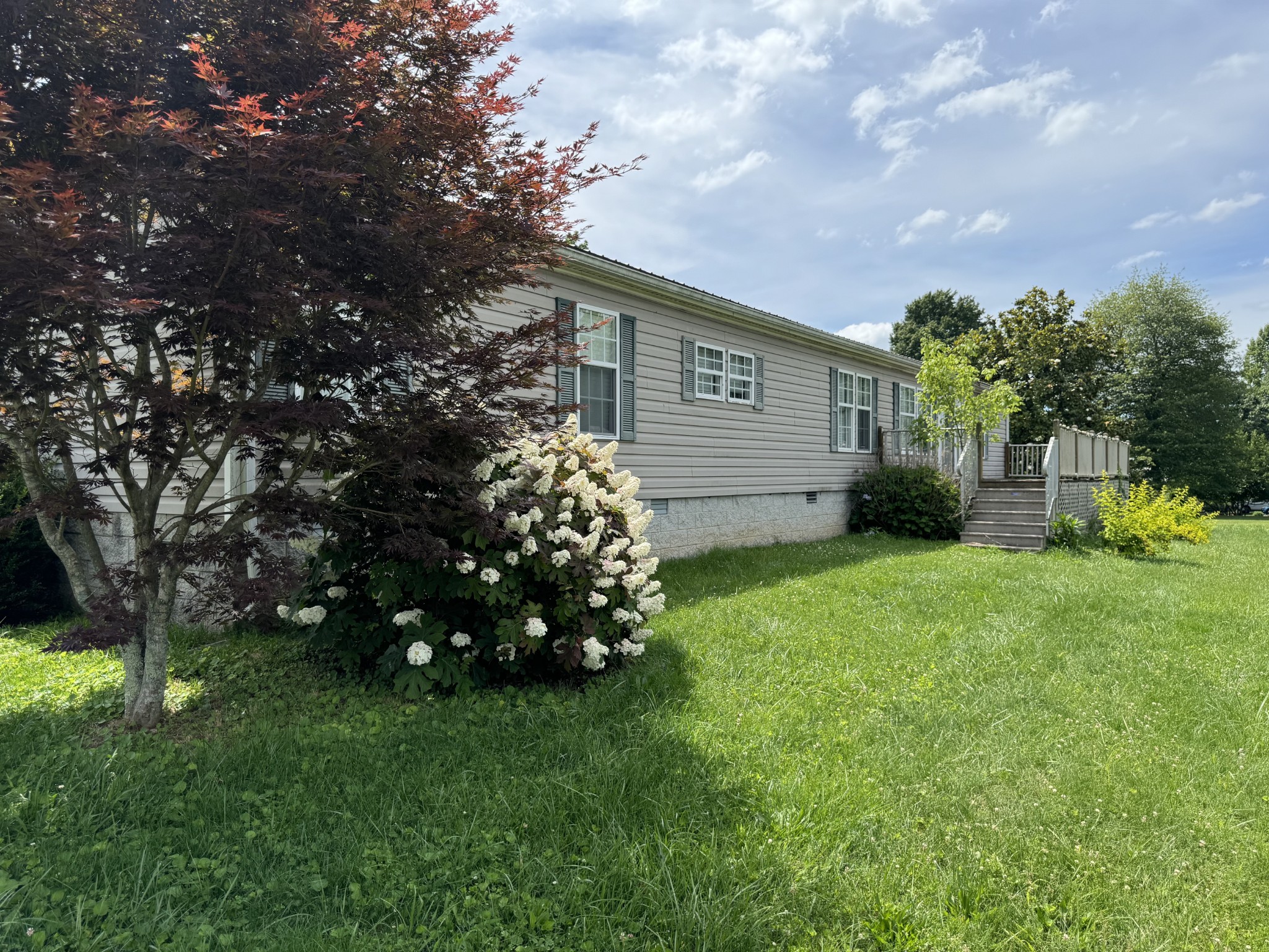 a backyard of a house with lots of green space