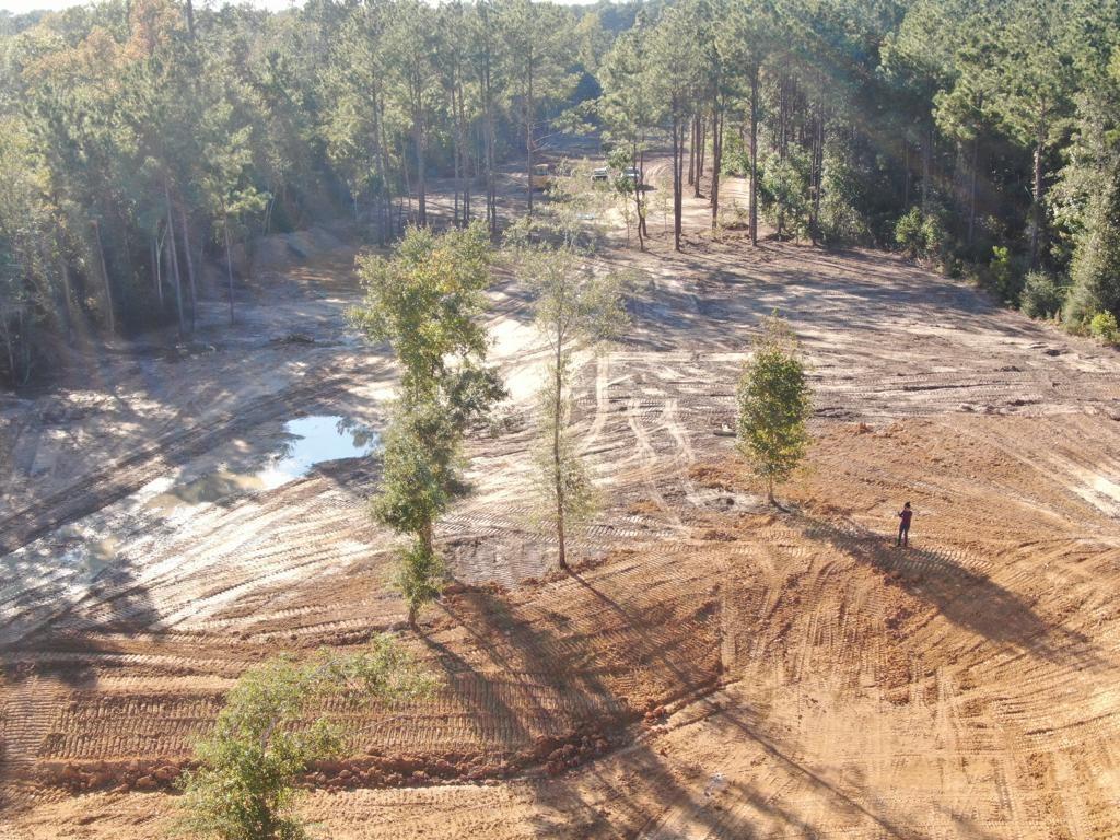 a view of yard with trees