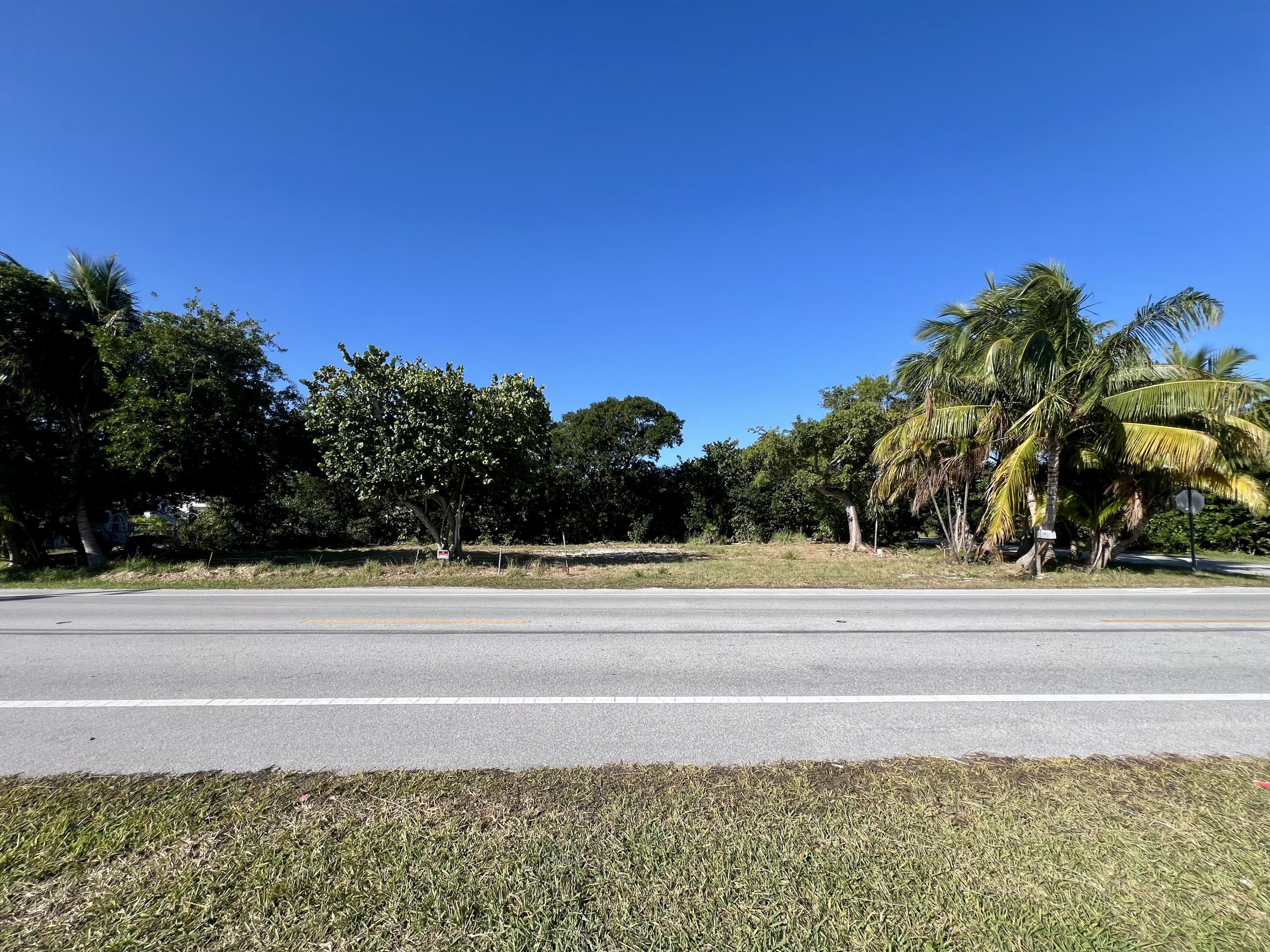 a view of a yard and large trees