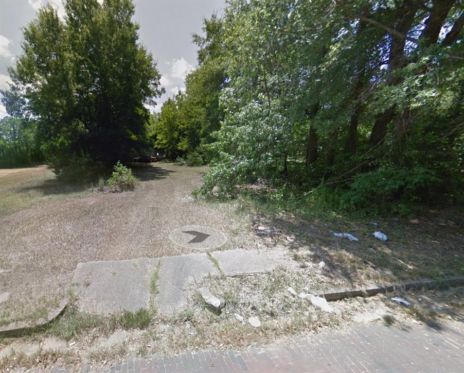 a view of a yard with plants and trees