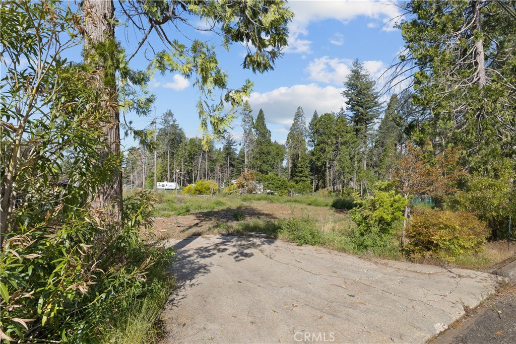 a view of a yard with a tree