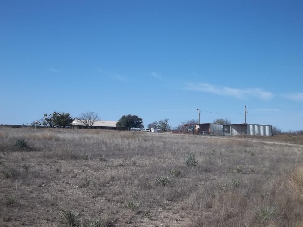 a view of a dry yard with trees