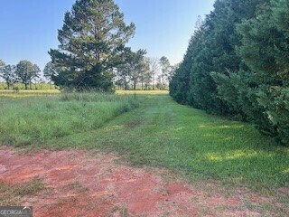 a view of a yard with a tree