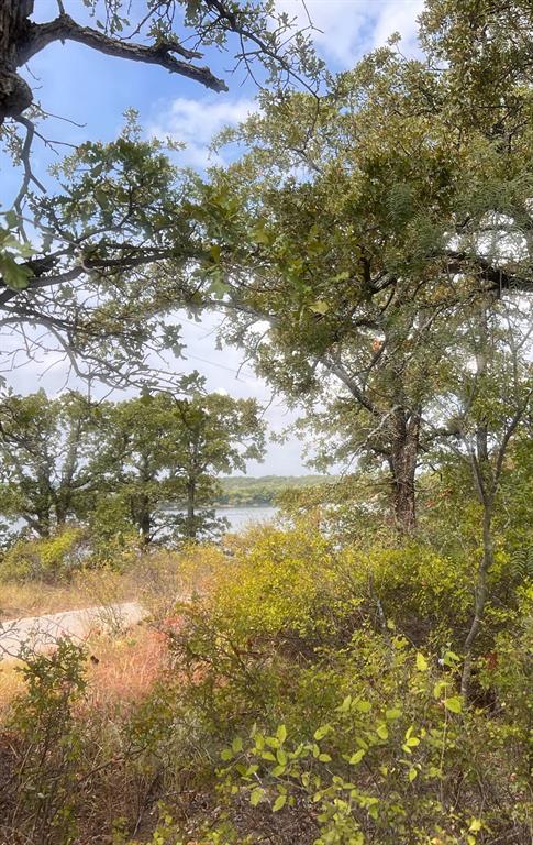 a view of lake