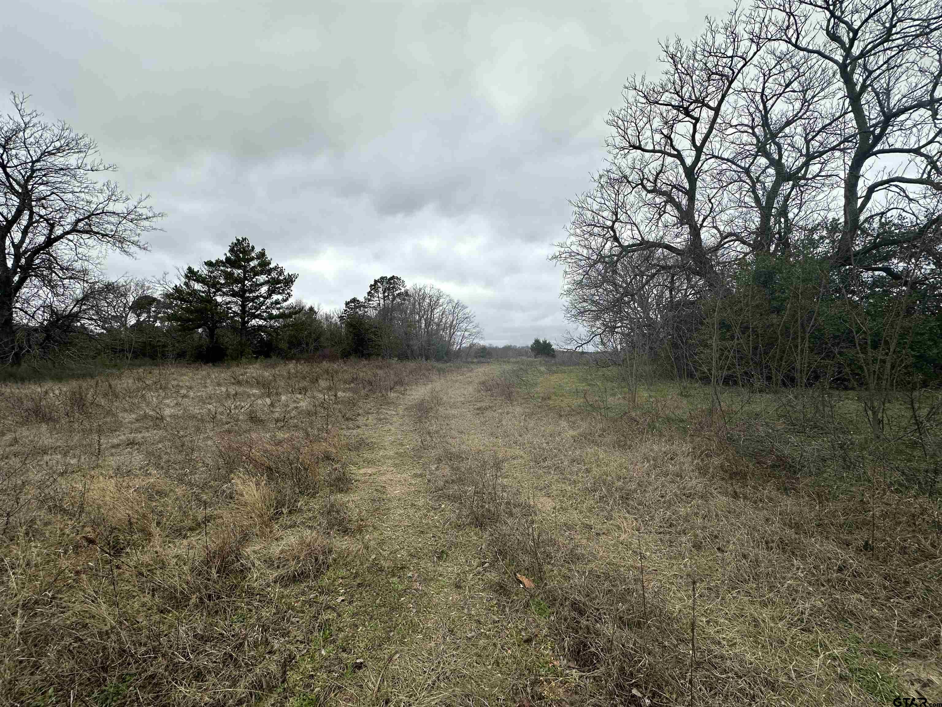 a view of a green field with lots of bushes