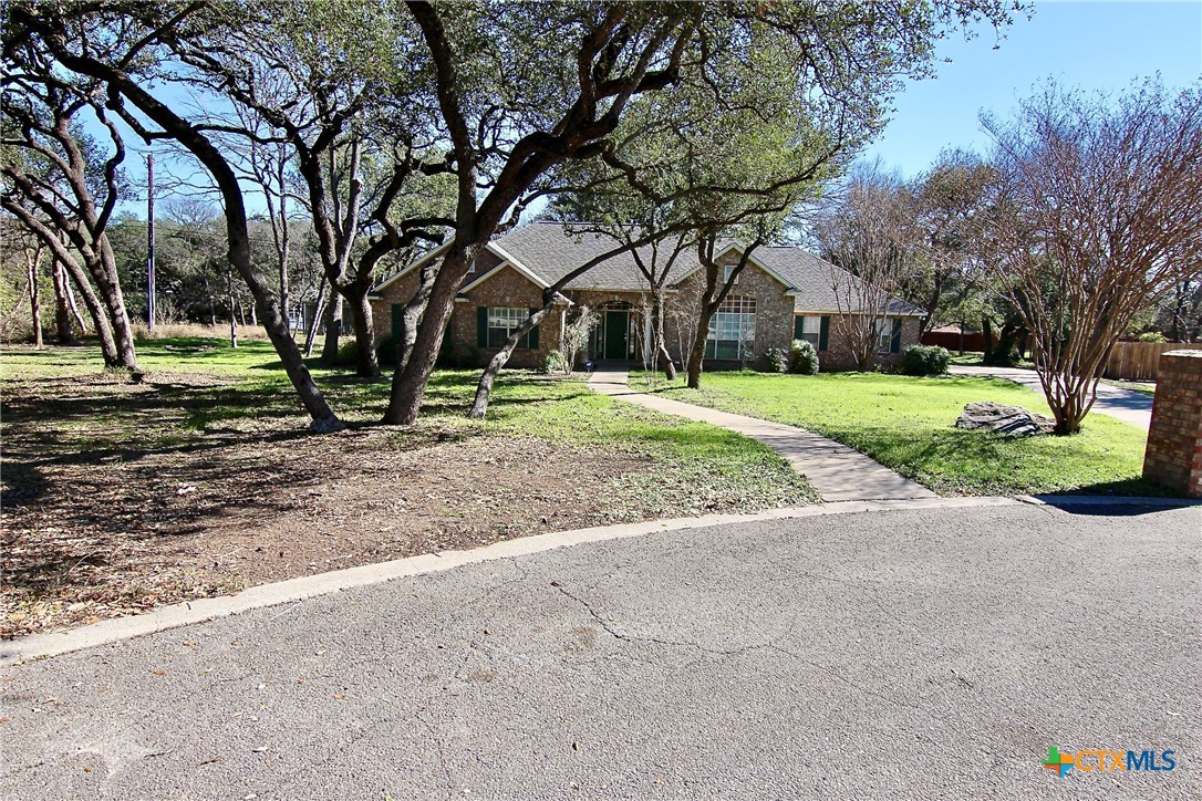 a view of a house with a yard and large trees