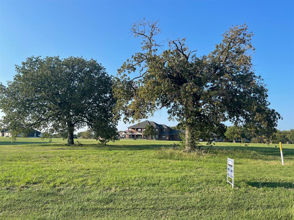 a view of a park with large trees