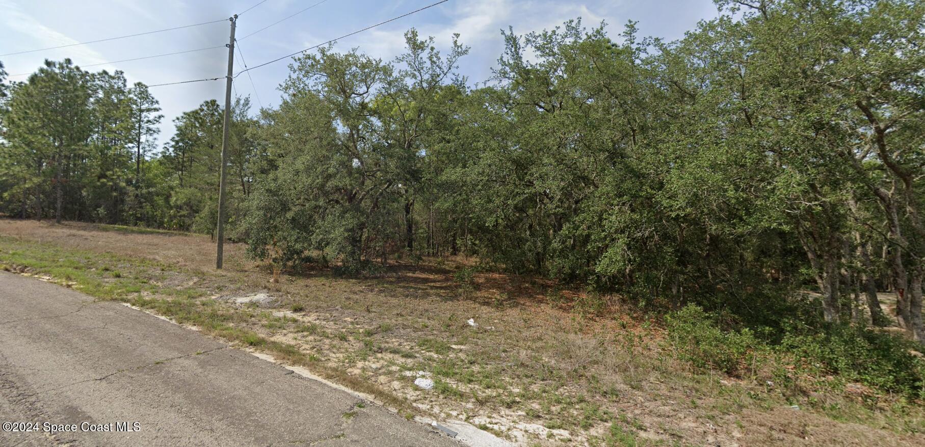 a view of a forest with trees