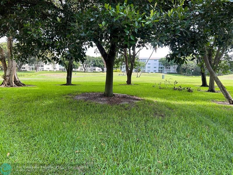 a view of green field with trees in the background