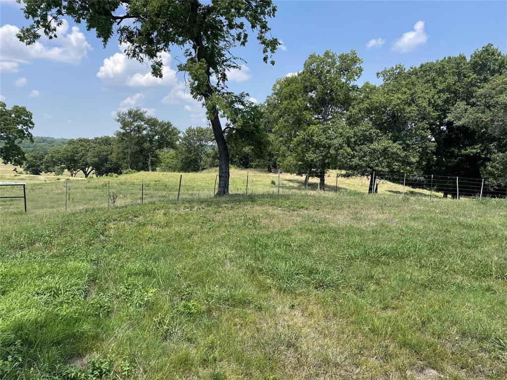 a view of field with trees in the background