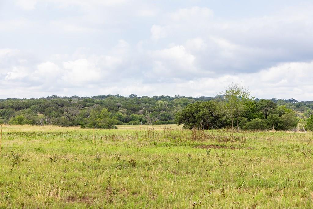 a view of an outdoor space and a yard