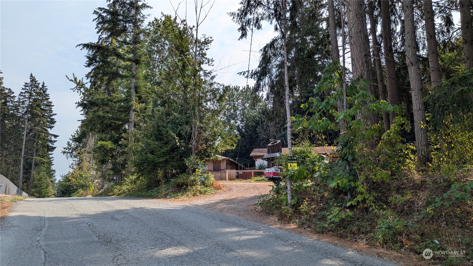 a view of roadside with trees