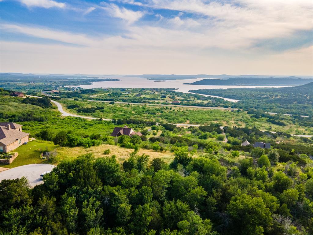 a view of a city with lush green forest