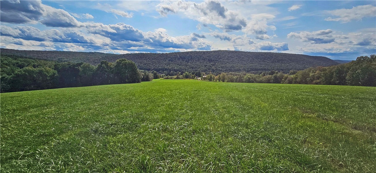 Panoramic view from field