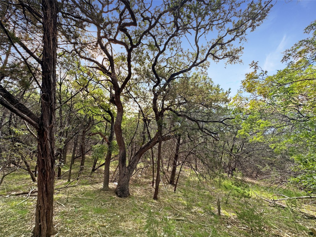 a backyard of a house with lots of trees