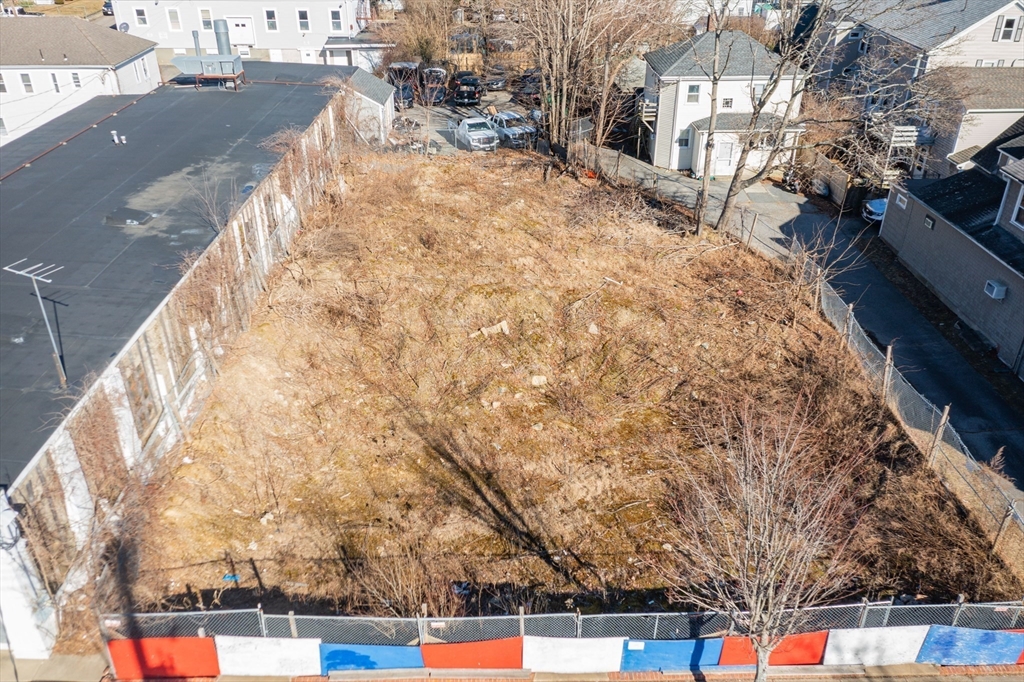 a picture of street view with large trees