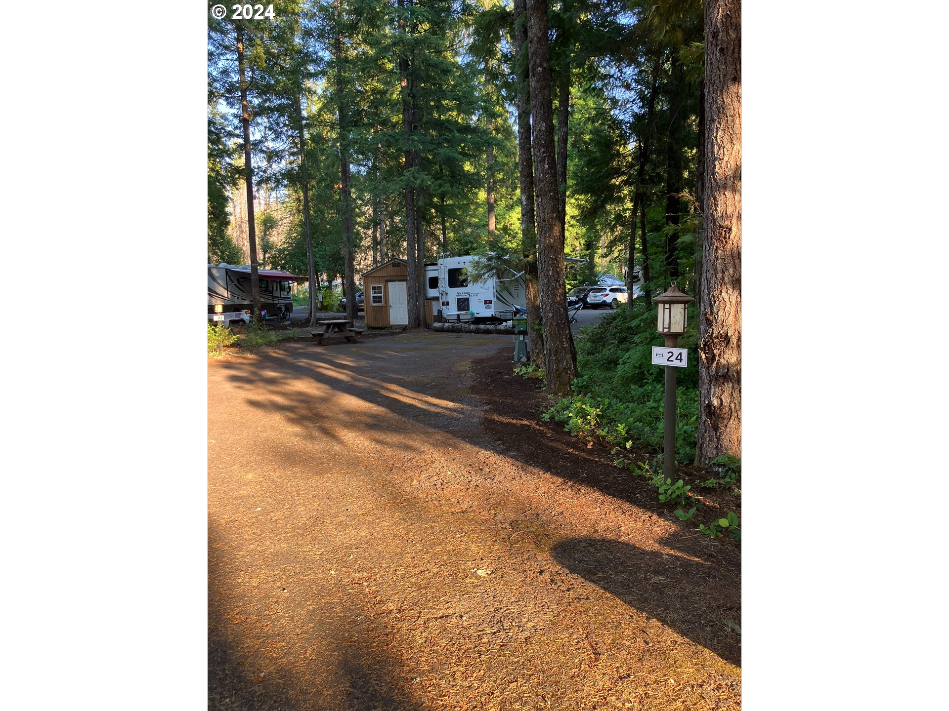 a view of a street with trees