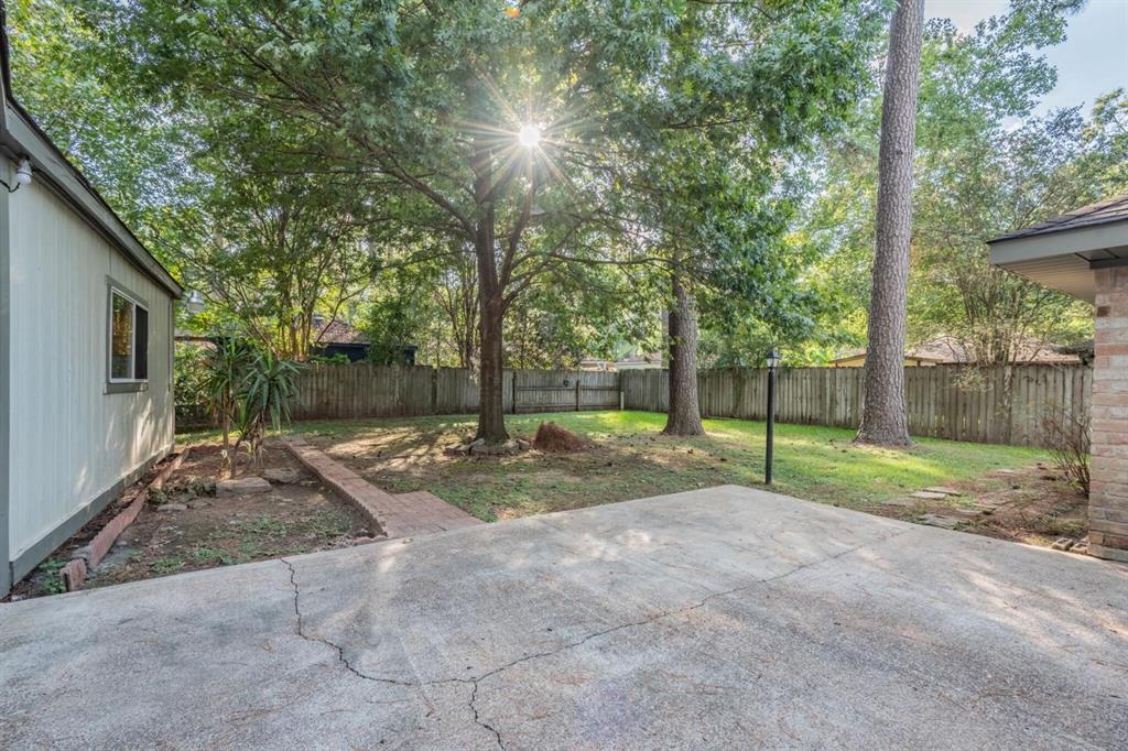 a view of a park with of a tree