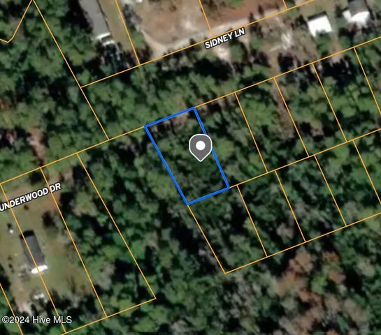 $25,000 | Lot 28 Underwood Drive | Grady Township - Pender County