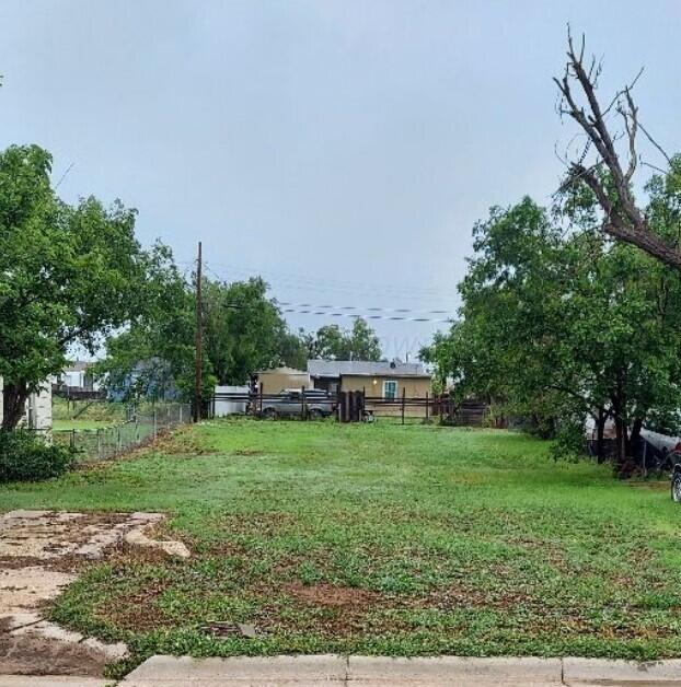 a view of a backyard with plants and trees