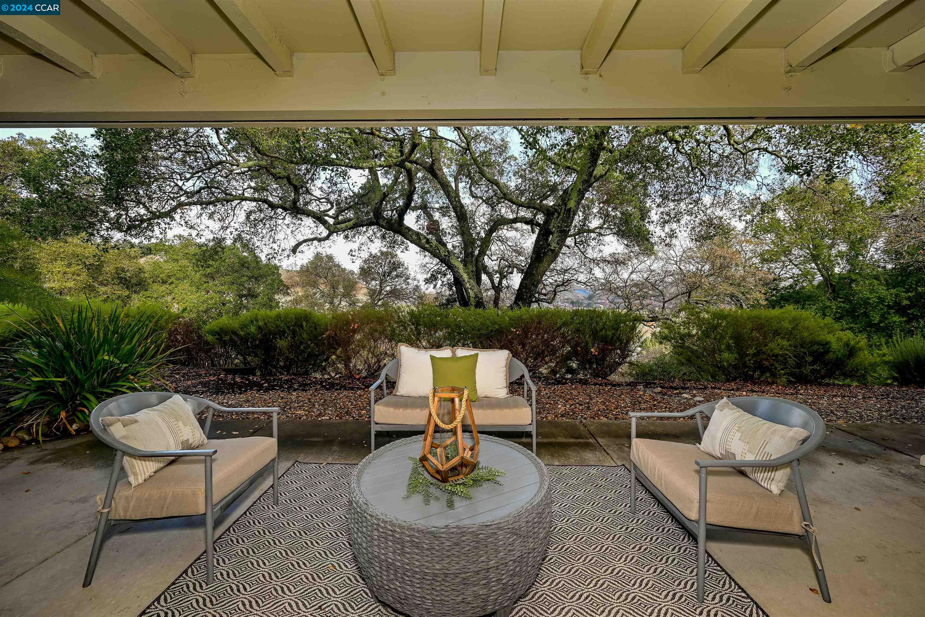 a living room with patio furniture and a potted plant