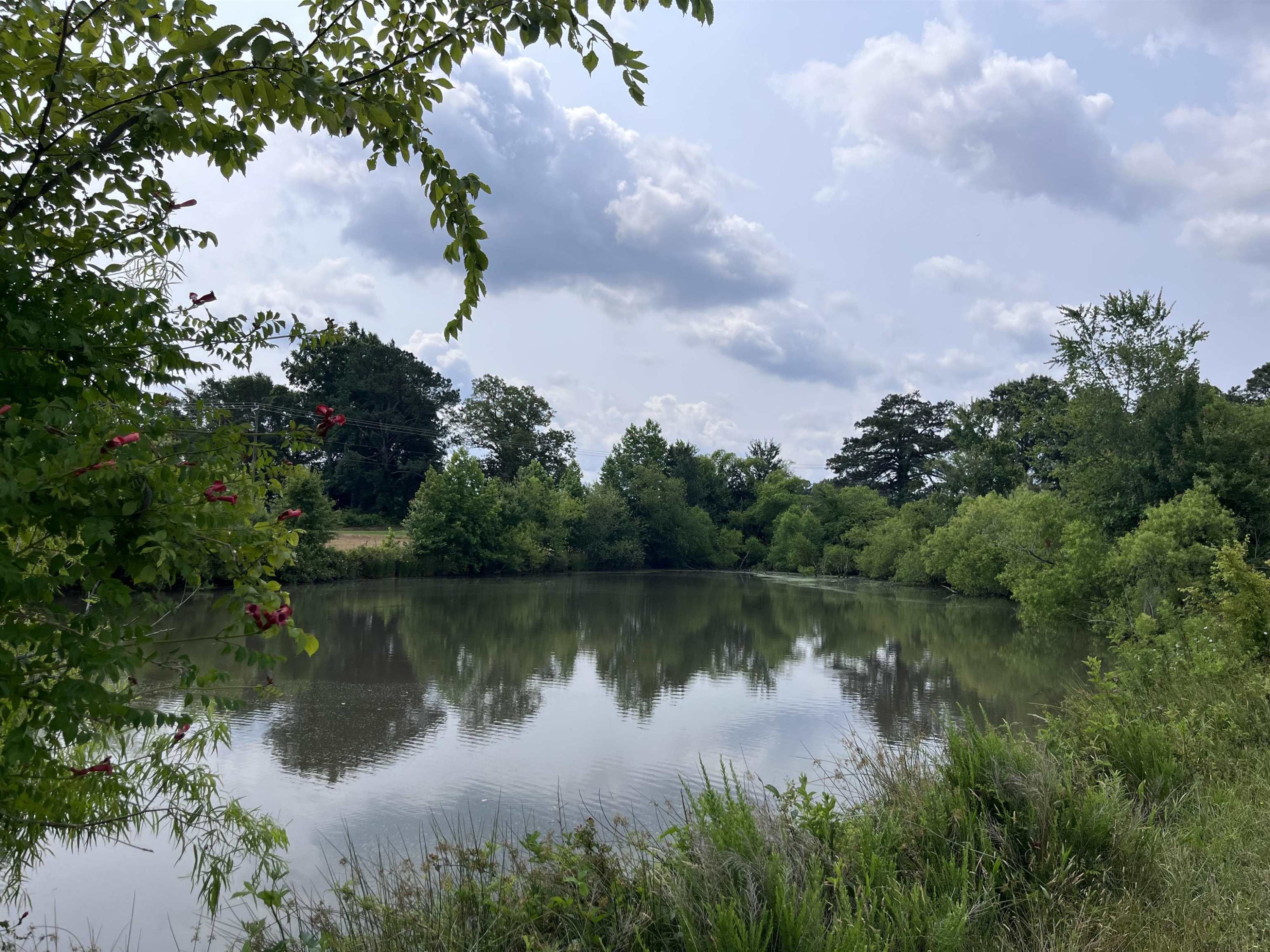 a view of a lake with a yard