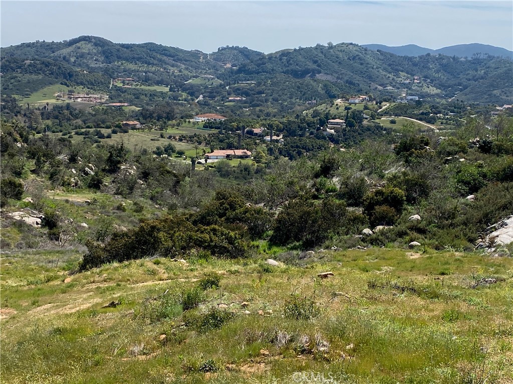 a view of a lush green hillside and houses