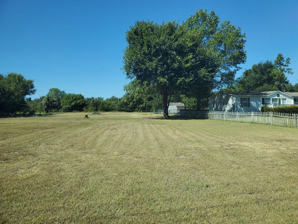 a view of a yard with a tree