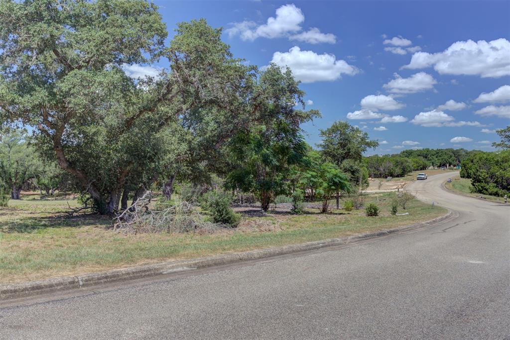 a view of a street with a yard