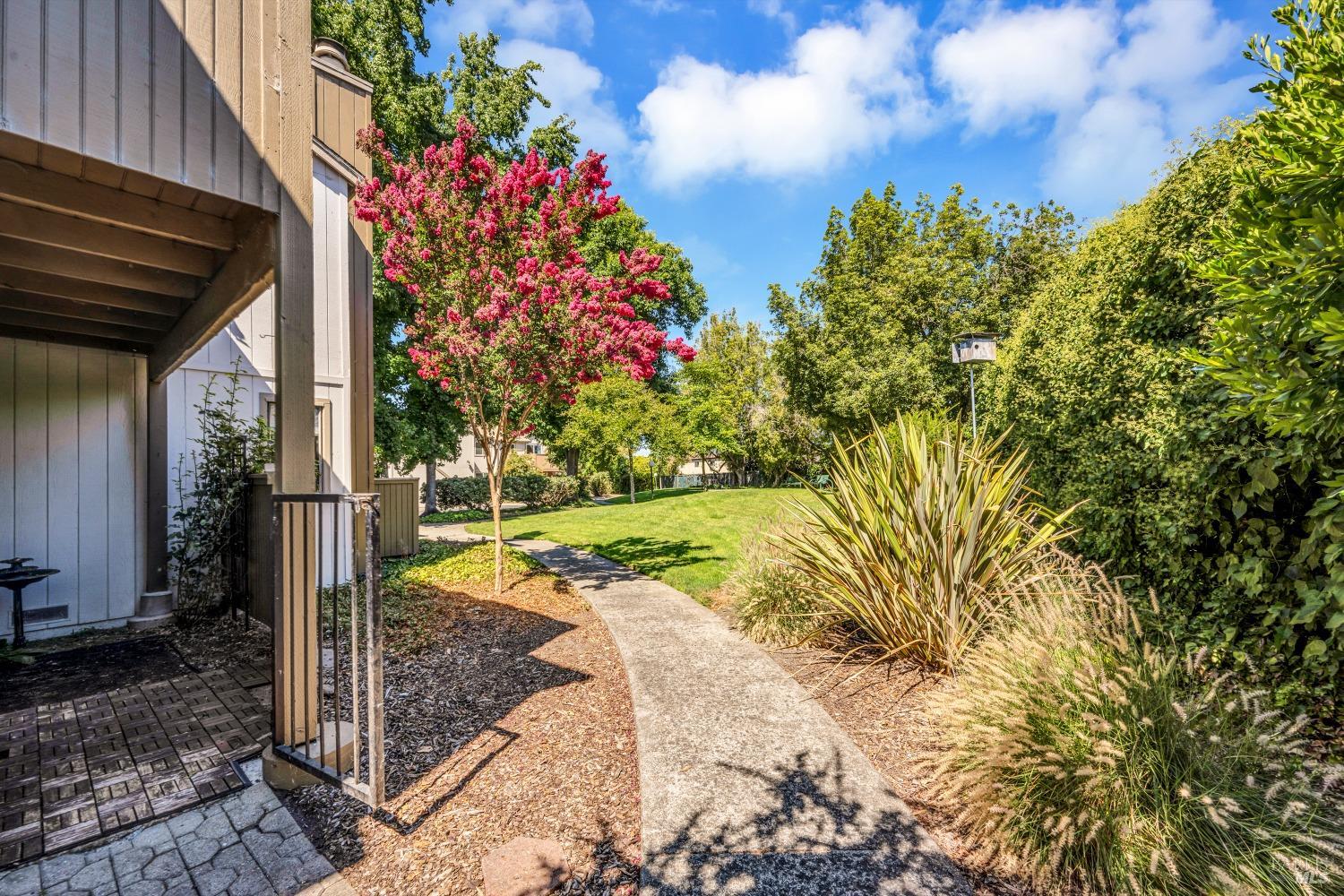 a view of a backyard with garden