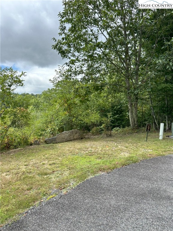 a view of a yard with a tree