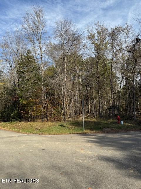 Lot 1023 Cove Ln