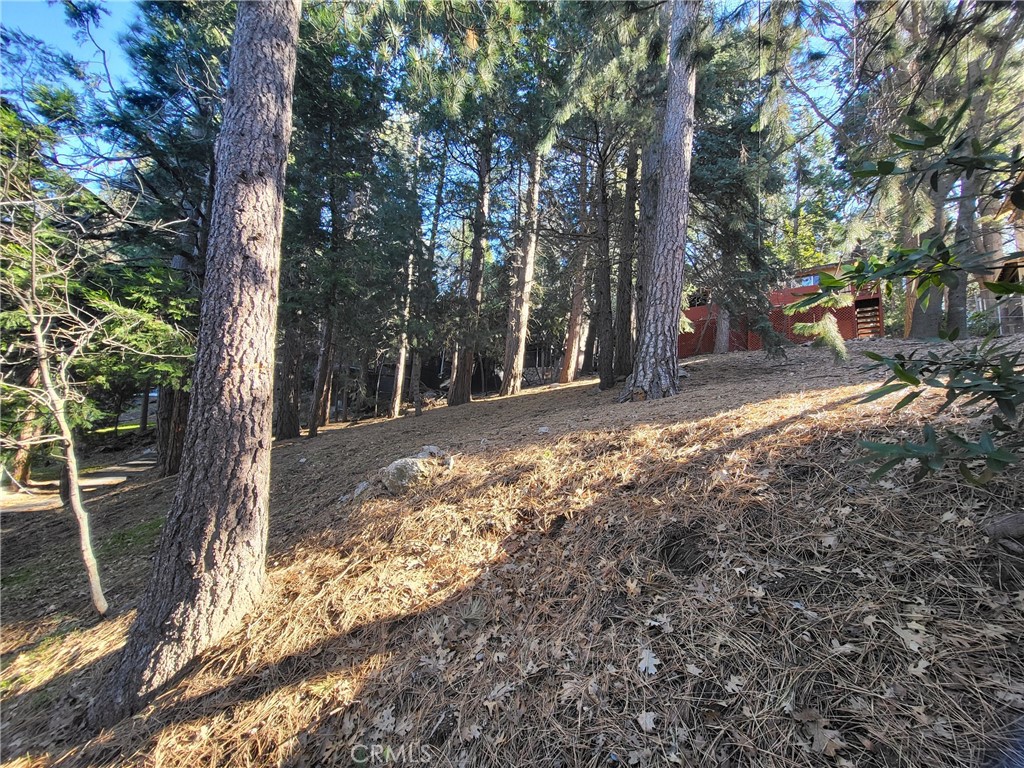 a view of a yard with trees