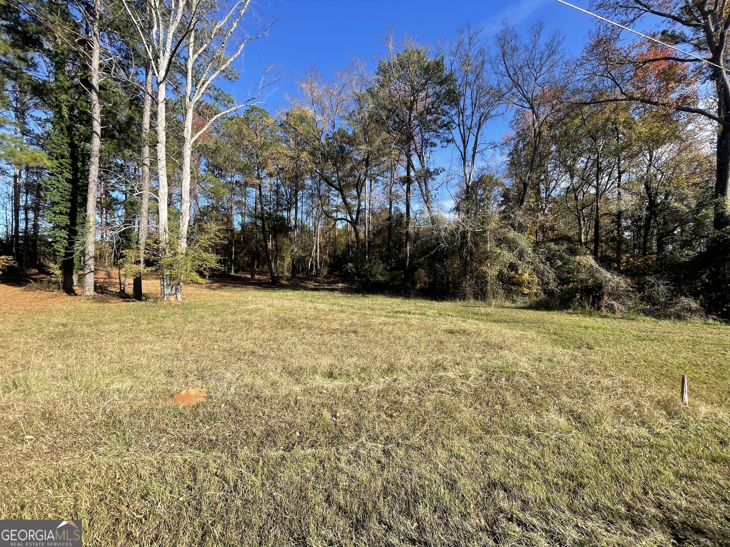 a view of patio with yard and trees