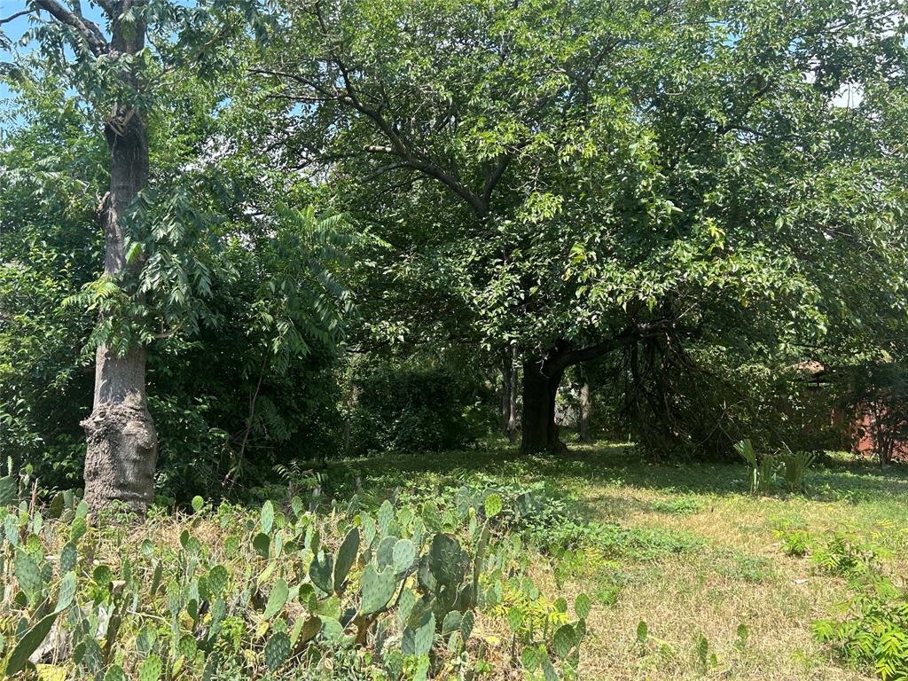 a view of outdoor space and yard