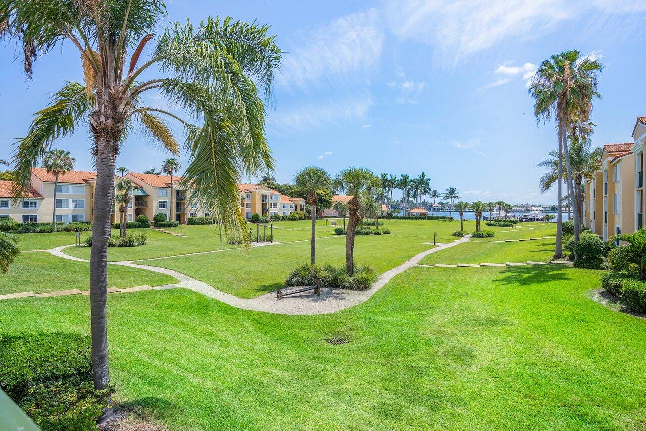 a view of a park with palm trees