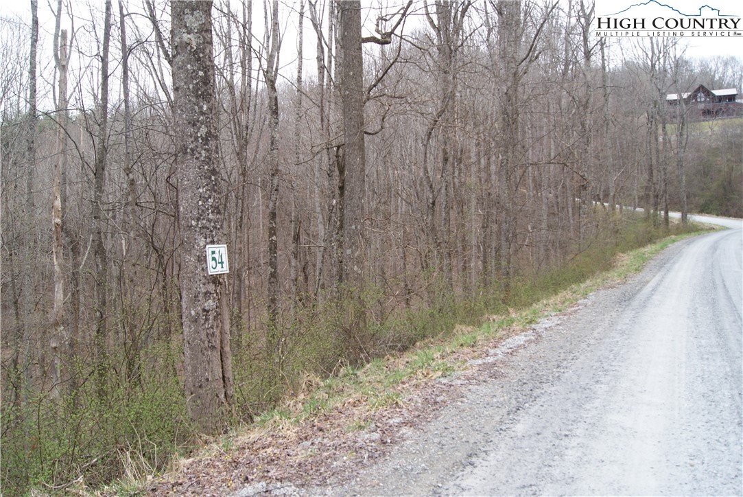 a view of a pathway of a wooden fence