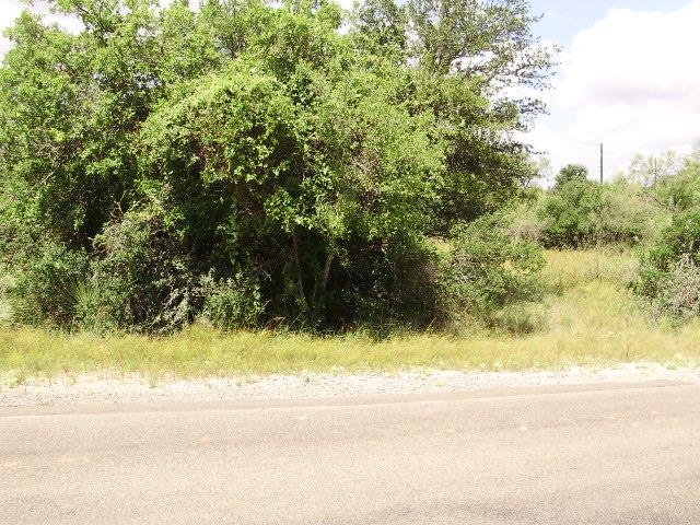 a view of a yard with a trees