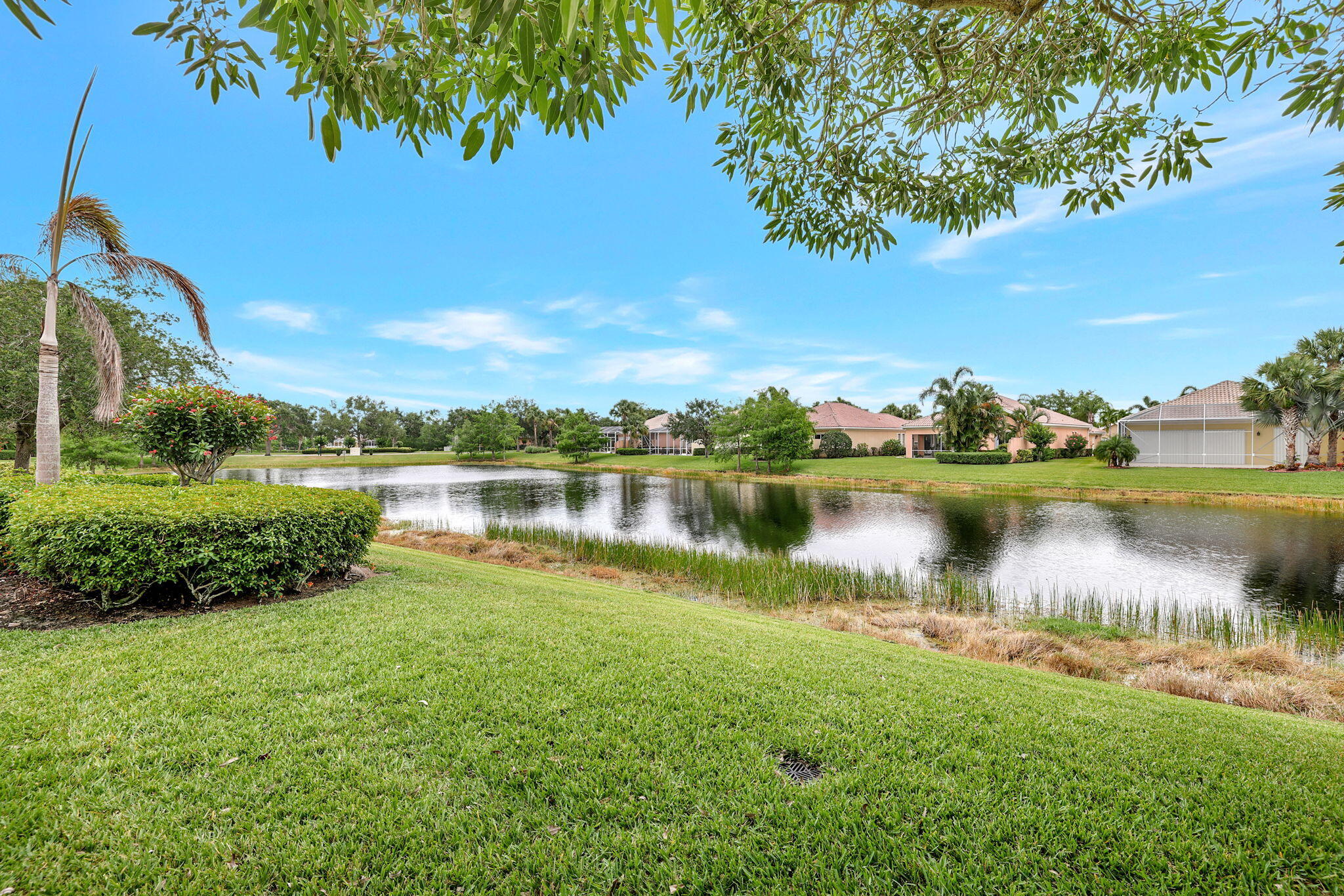 BACKYARD LAKE