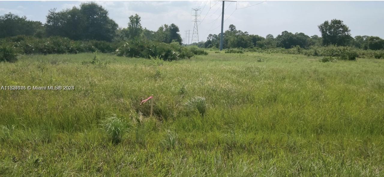 a view of a lush green field