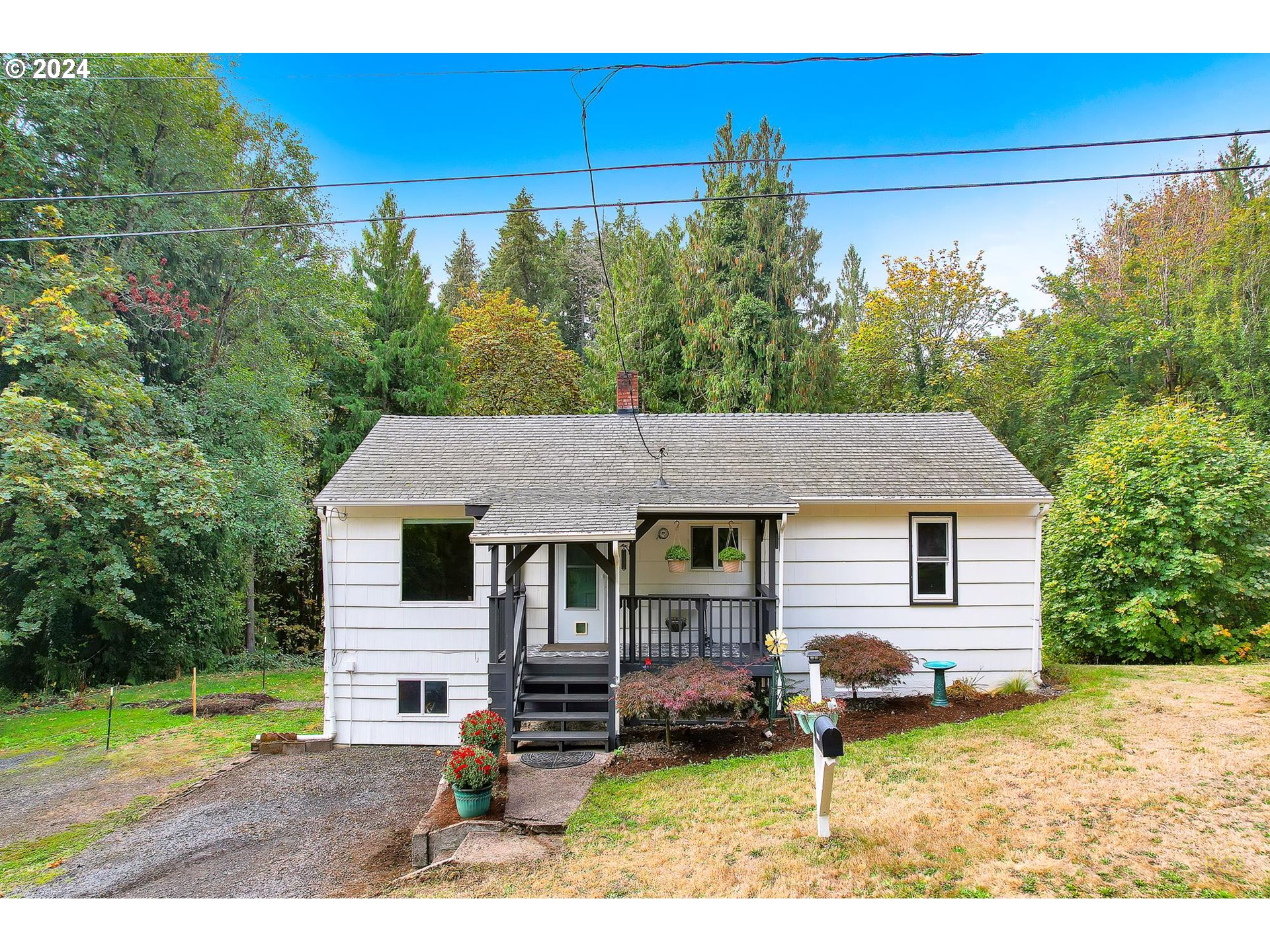 a view of a yard in front of a house with large tree