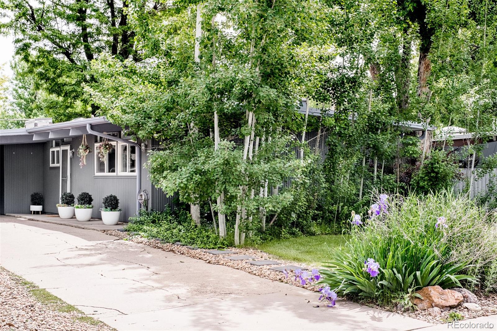 a street view with wooden fencing