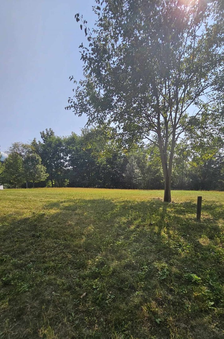 a view of outdoor space with yard